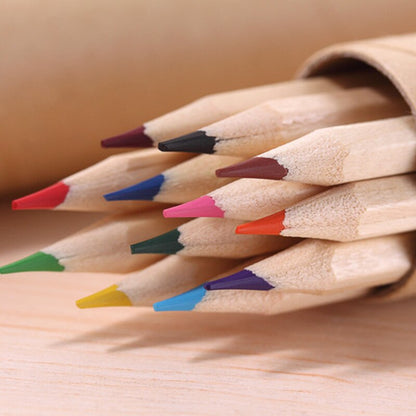 Professional 12 Coloring Pencils