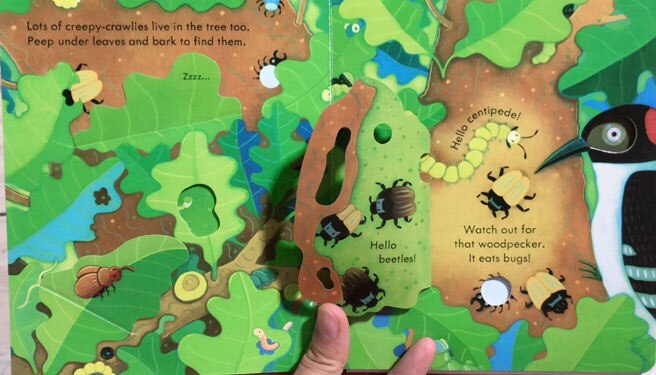 Usborne Peep Inside A Tree